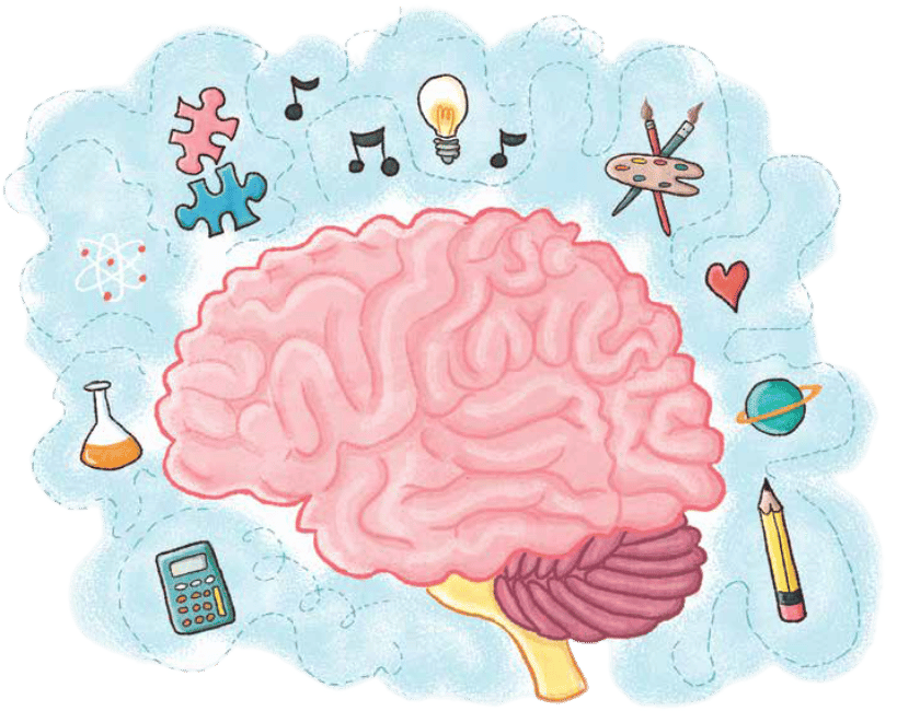 Brain with small graphics of different items swirling around it including a pencil, calculate, paint pallet, and more